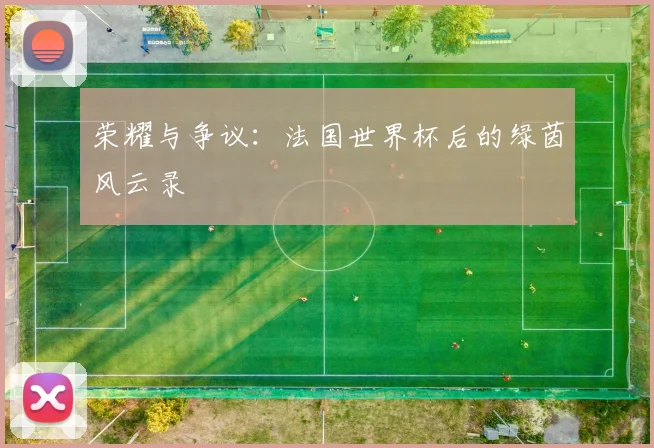荣耀与争议:法国世界杯后的绿茵风云录