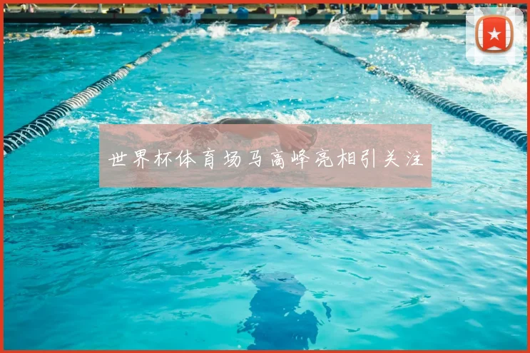 世界杯体育场马高峰亮相引关注