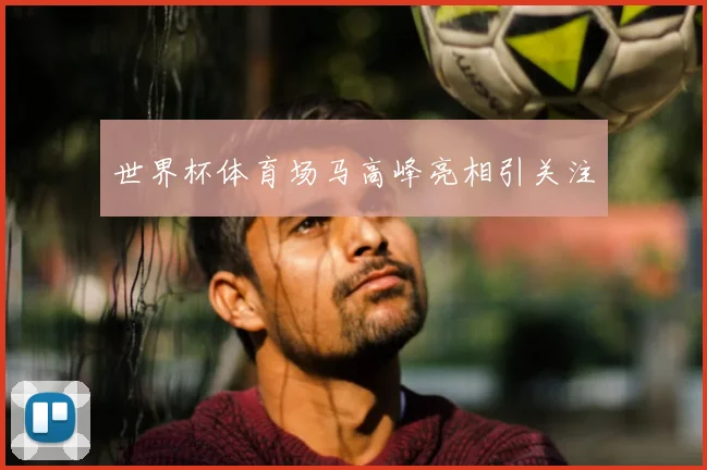 世界杯体育场马高峰亮相引关注