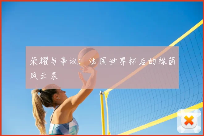 荣耀与争议:法国世界杯后的绿茵风云录