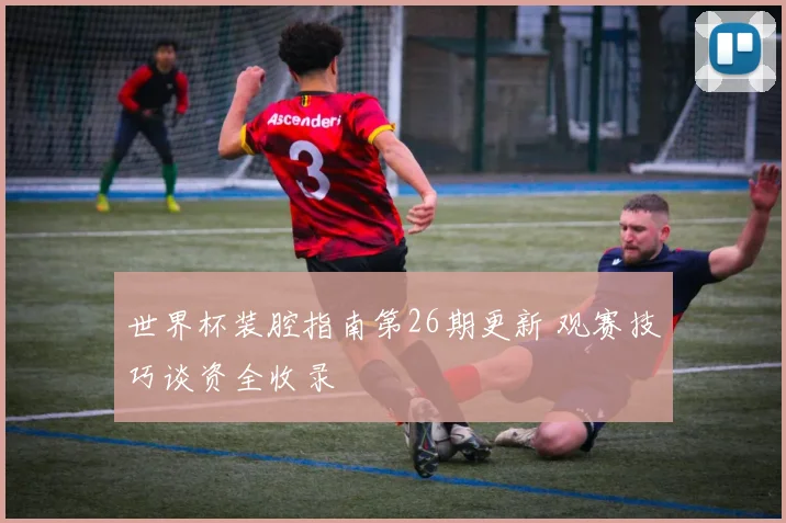 世界杯装腔指南第26期更新 观赛技巧谈资全收录