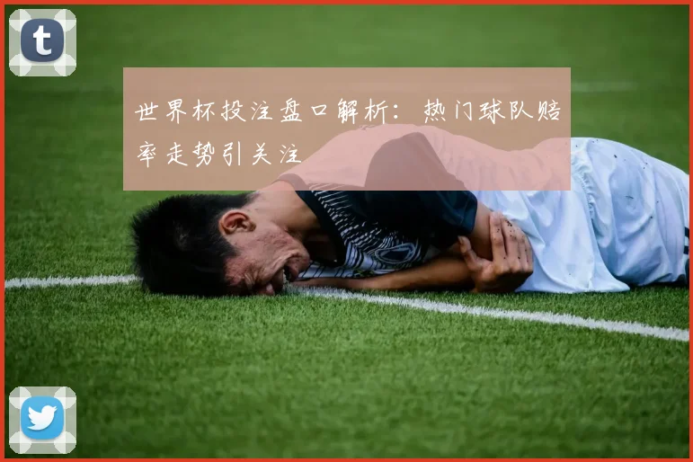 世界杯投注盘口解析:热门球队赔率走势引关注