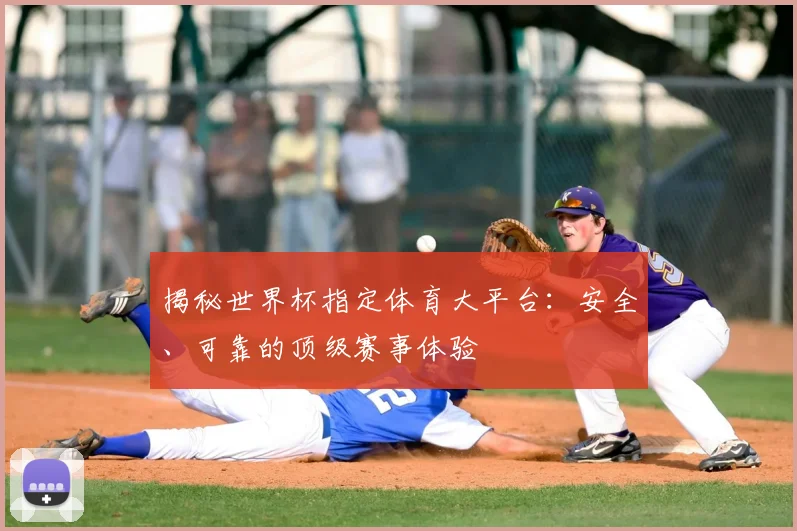 揭秘世界杯指定体育大平台：安全、可靠的顶级赛事体验