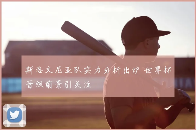 斯洛文尼亚队实力分析出炉 世界杯晋级前景引关注