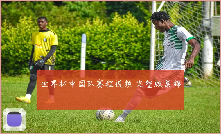 世界杯中国队赛程视频 完整版集锦