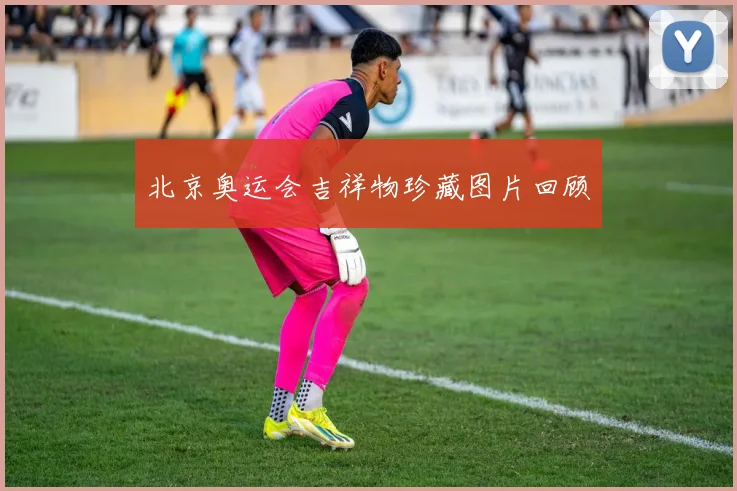 北京奥运会吉祥物珍藏图片回顾